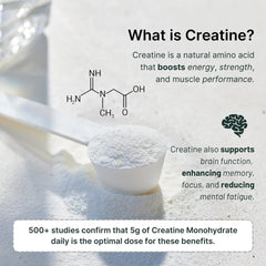 Vegan Protein Powder with Creatine Single-Serve Packets