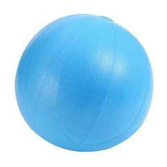 25cm Frosted Thickened Pilates Yoga Balance Exercise Ball